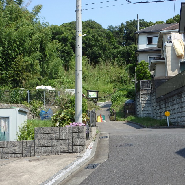 �O���Ɂu�s���̐X�v�ē���������