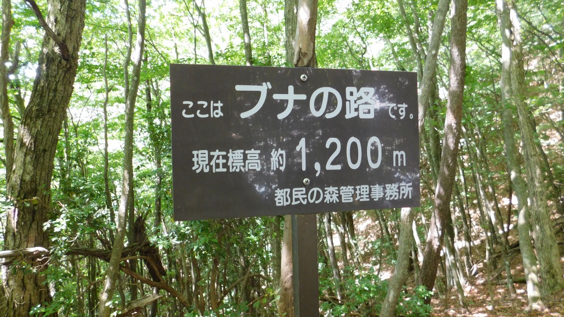 k 24^127 l@uW 1,200vʉ