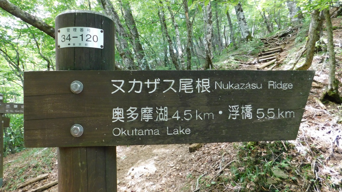 k 69^127 l@BukJUX@ 4.5E 5.5vB