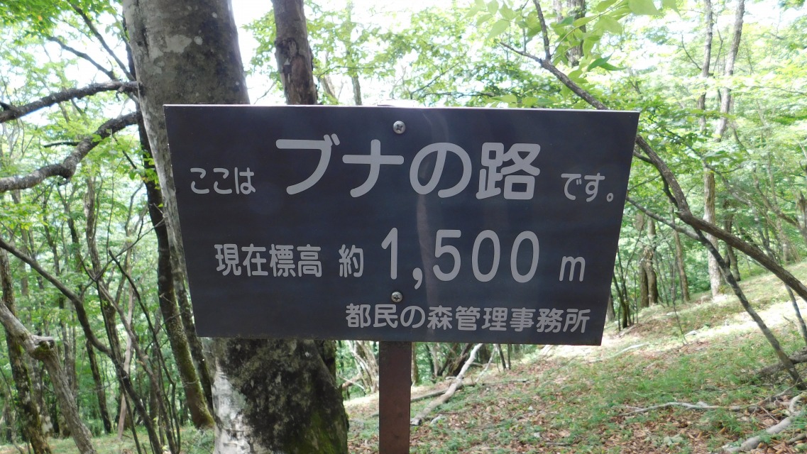 k 84^127 l@uW 1,500vWʉ