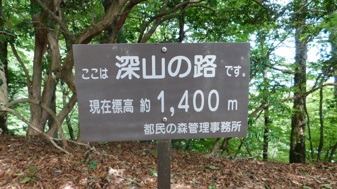 k 95^127 l@uW 1,400vʉ