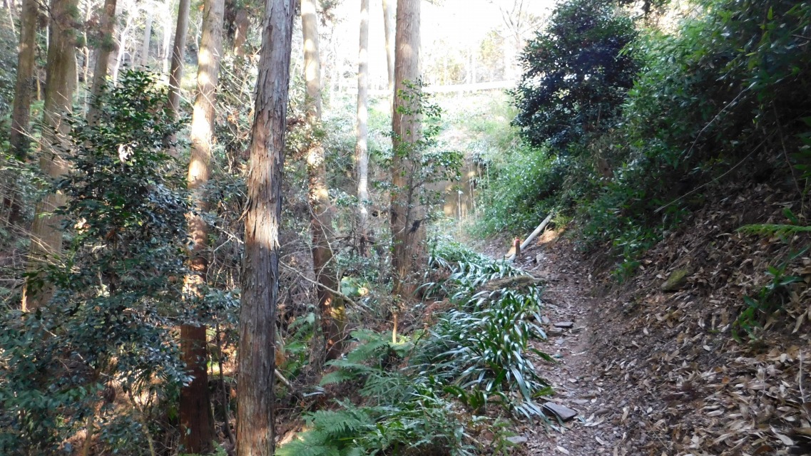 �k 14�^88 �l�@�O���ɔ����K�[�h���[����������