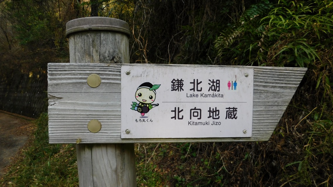 �k 17�^88 �l�@�\���m�F�B�����ɂāB