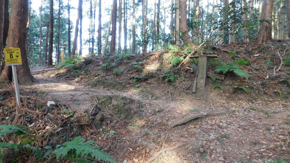 �k 20�^88 �l�@����_�B���艜�ɕ\����������B