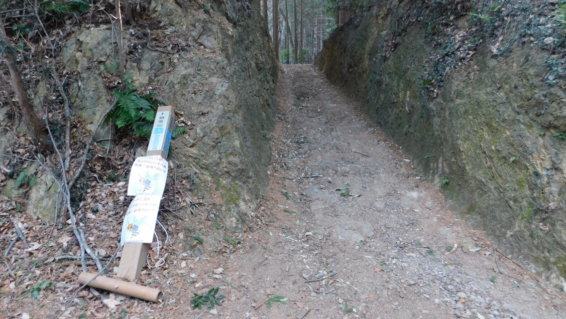 �k 31�^88 �l�@�؂�ʂ��̂悤�ȓ���ʂ蔲����