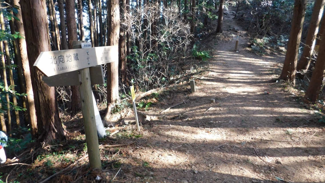 �k 36�^88 �l�@�\���ʉ߁B���Z�I�l���ɓ����B