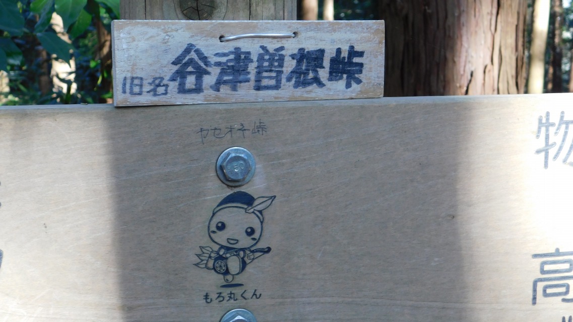 �k 38�^88 �l�@�A�b�v�ŎB�e�B�u���� �J�Ñ]�����v�Ƃ����悤���B�菑���Łu���Z�I�l���v�̕\�L������B