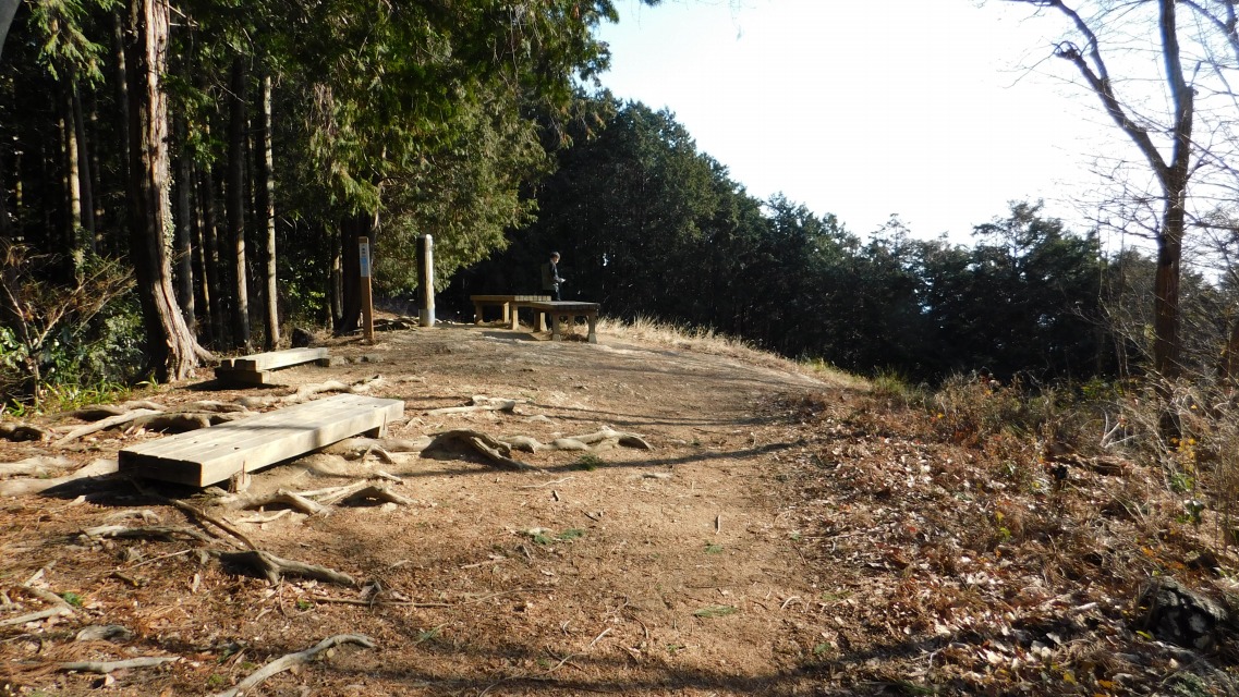 �k 40�^88 �l�@�����R�ɓ���