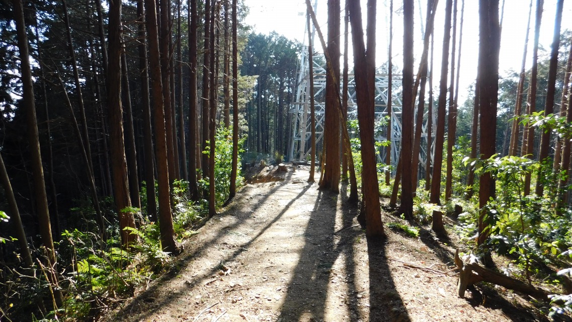 �k 43�^88 �l�@�S����ʉ�