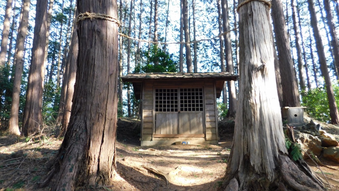 �k 45�^88 �l�@���艜�ɐ_�Ђ�������