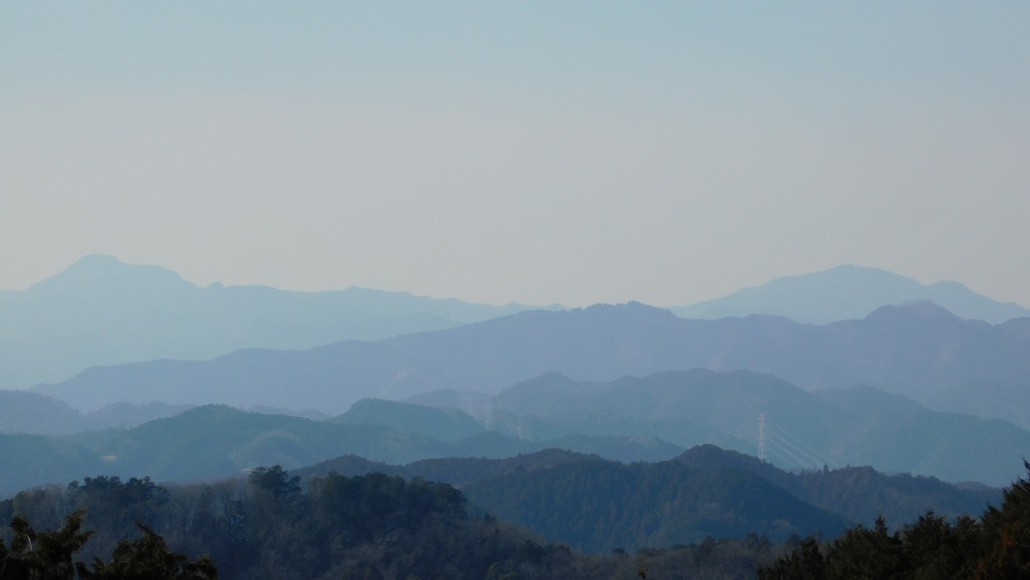 �k 49�^88 �l�@�g�C���O����̒��]�B�Y�[���C���B