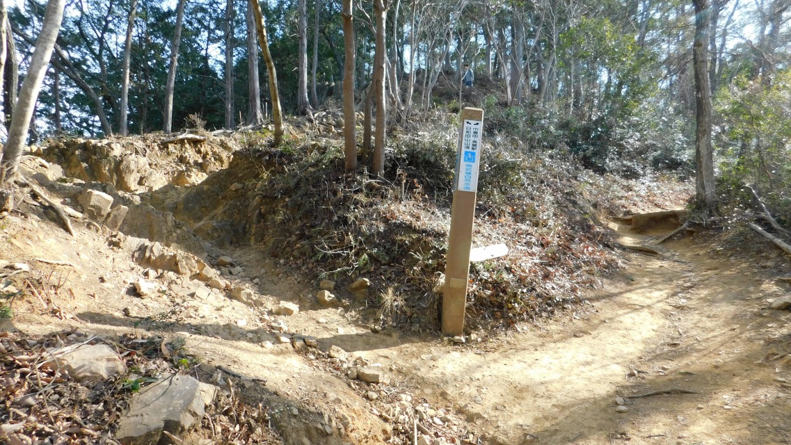 �k 60�^88 �l�@����_�B���u �� ���a�c�R�R���v�ցB�E�u �� �В��c�E����w�v�B