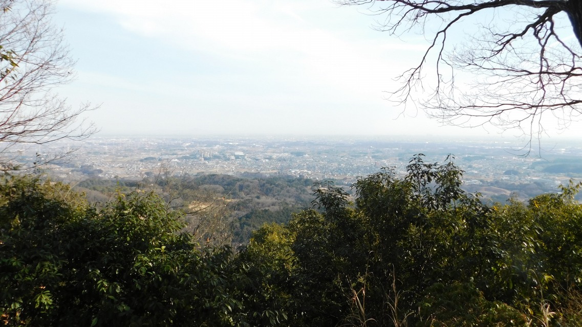 �k 63�^88 �l�@�R������̒��߁B�Y�[���C���B