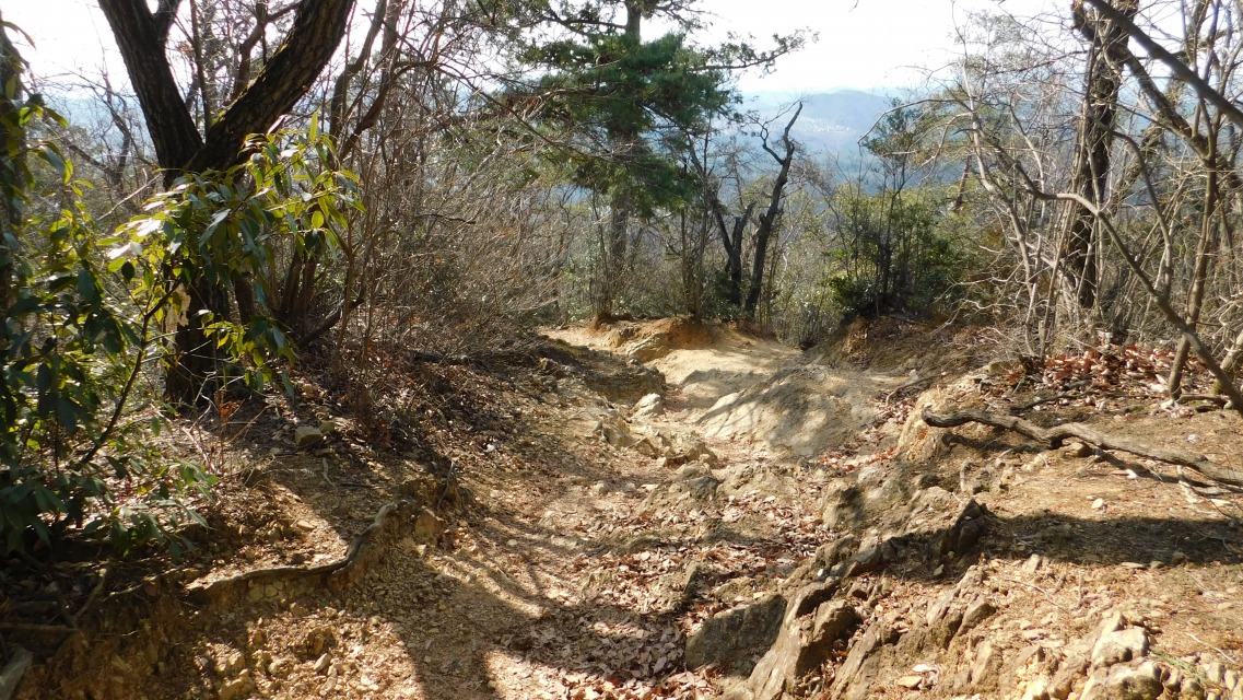 �k 69�^88 �l�@�o�R���̗l�q�B����w�։��R����B