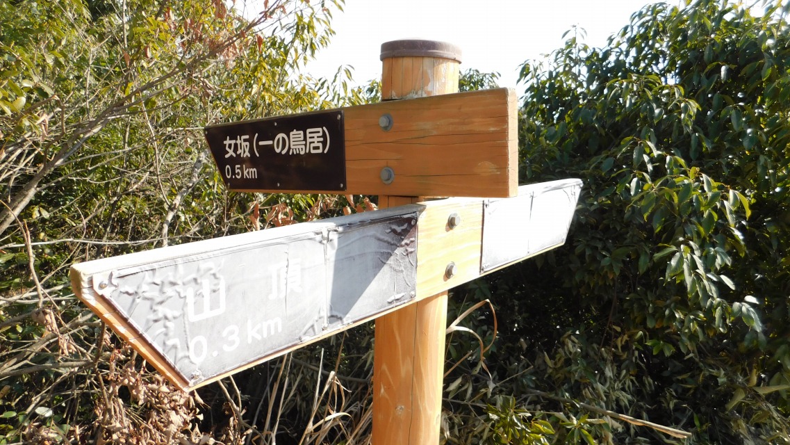 �k 75�^88 �l�@�u����i��̒����j0.5�����v��