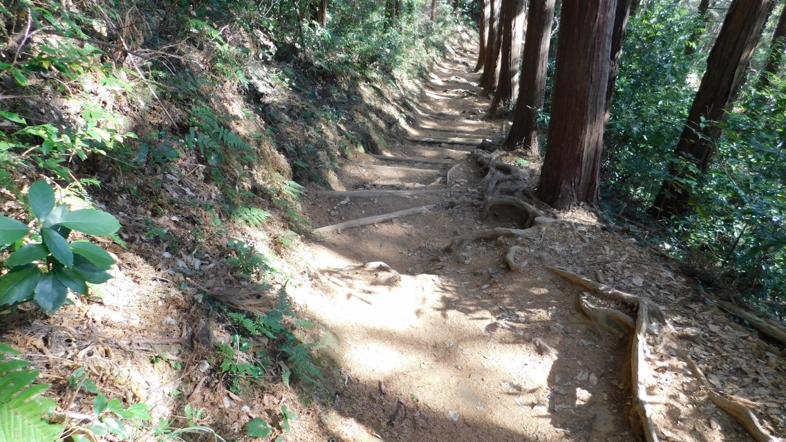 �k 76�^88 �l�@����̗l�q