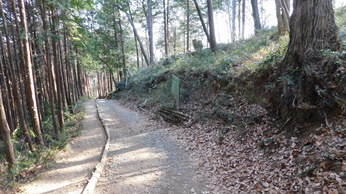 �k 79�^88 �l�@�o�R����������