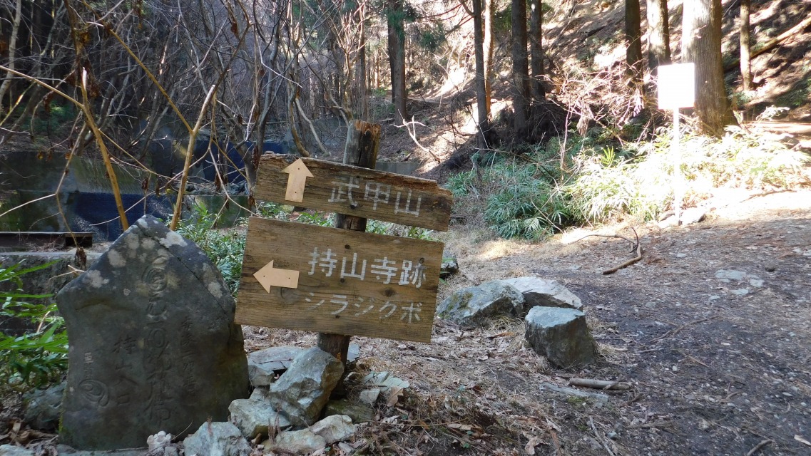 �k 30�^96 �l�@����_�B���u �� ���R���Ձi������܂ł炠�Ɓj�@�V���W�N�{�v�B���i�u�� ���b�R�v�ցB