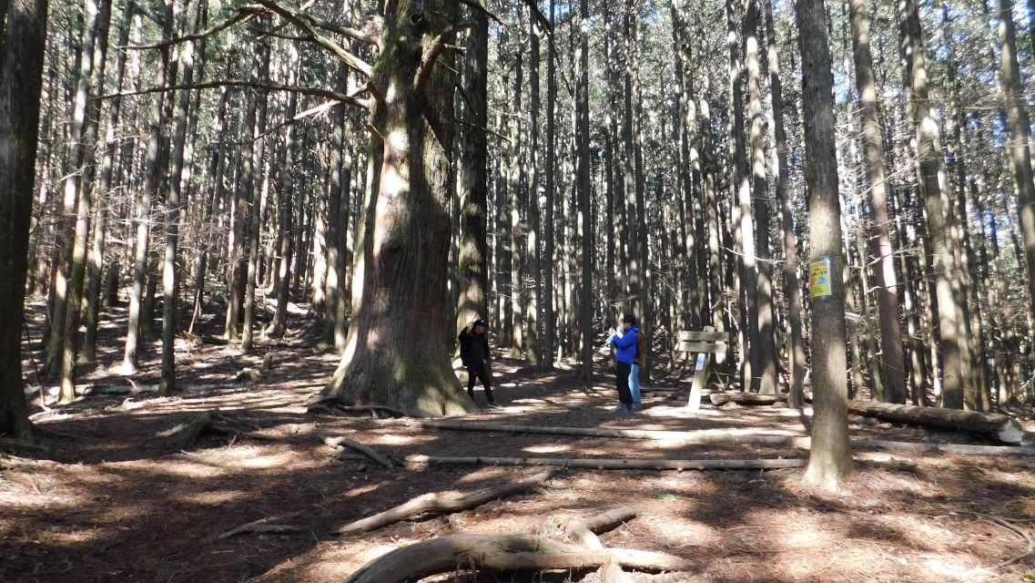 �k 39�^96 �l�@�吙�̍L��ɓ���