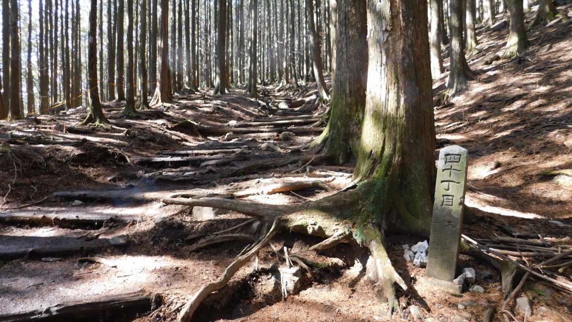 �k 42�^96 �l�@�u�l�\���ځv��ʉ�