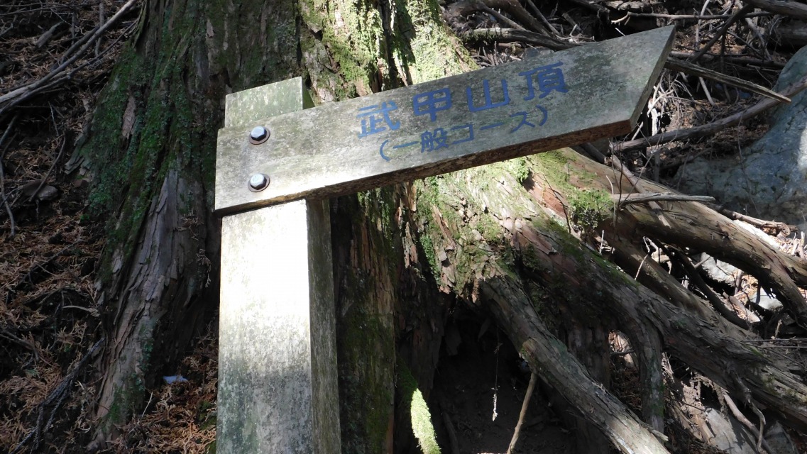 �k 43�^96 �l�@�|��Ă��܂����\���B�u���b�R�R���i��ʃR�[�X�j�v�ցB