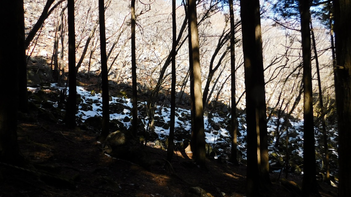 �k 44�^96 �l�@�E��̎ΖʂɎc�Ⴊ������