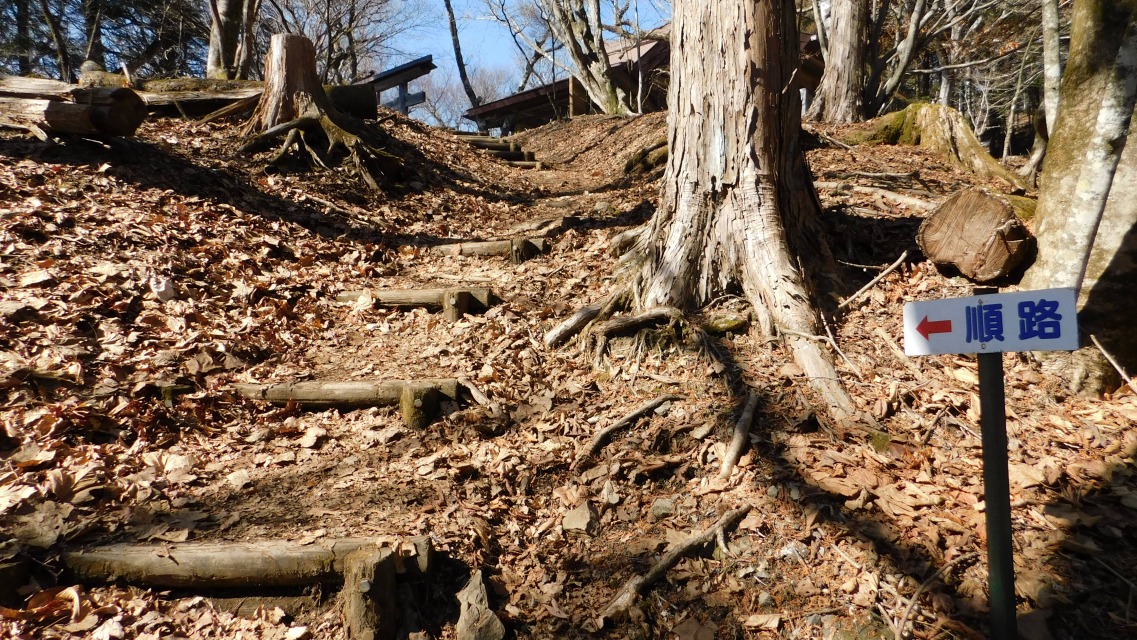 �k 50�^96 �l�@�u���H�v��i��