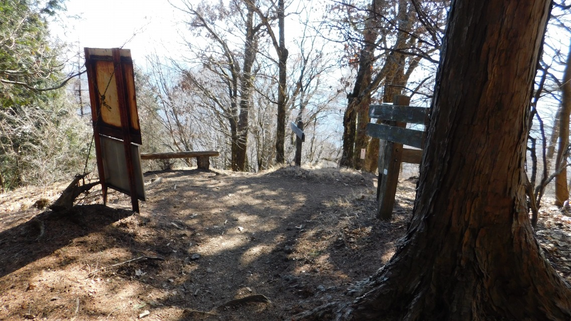 �k 63�^96 �l�@����_�B�E�́u�Y�R���v���ʁi�������[�g�j�B