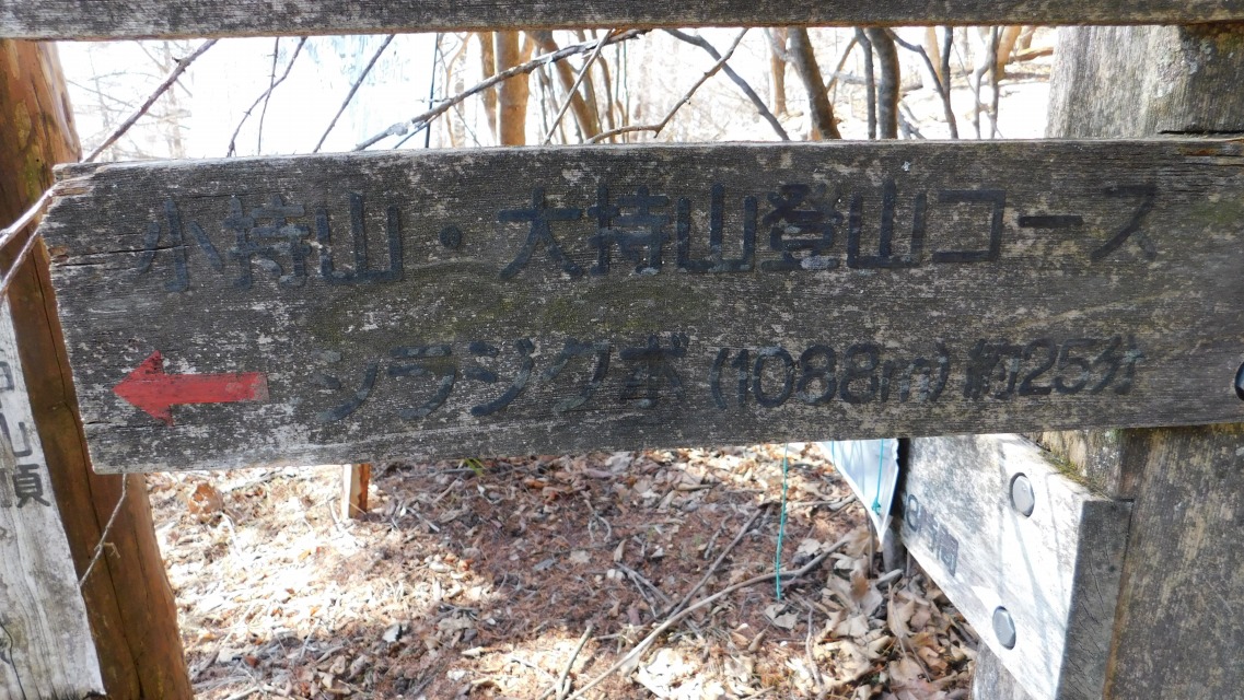 �k 66�^96 �l�@���u�����R�E�厝�R�o�R�R�[�X�@�� �V���W�N�{�i1088���j��25���v