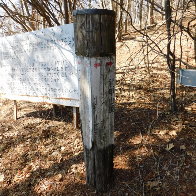 �k 67�^96 �l�@�u���b�R�̌��v�W���B�����́u���j�̂��m�点�v�ē��B