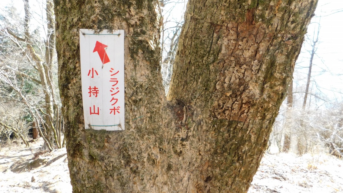 �k 70�^96 �l�@�u �� �����R�@�V���W�N�{�v�ցB�ȏ�A����_�ɂāB