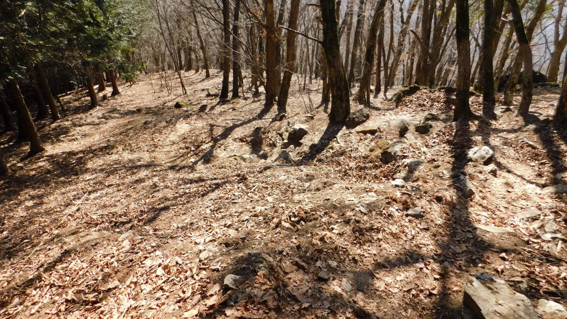 �k 71�^96 �l�@�o�R���̗l�q�B�W�O�U�N�݂���������B