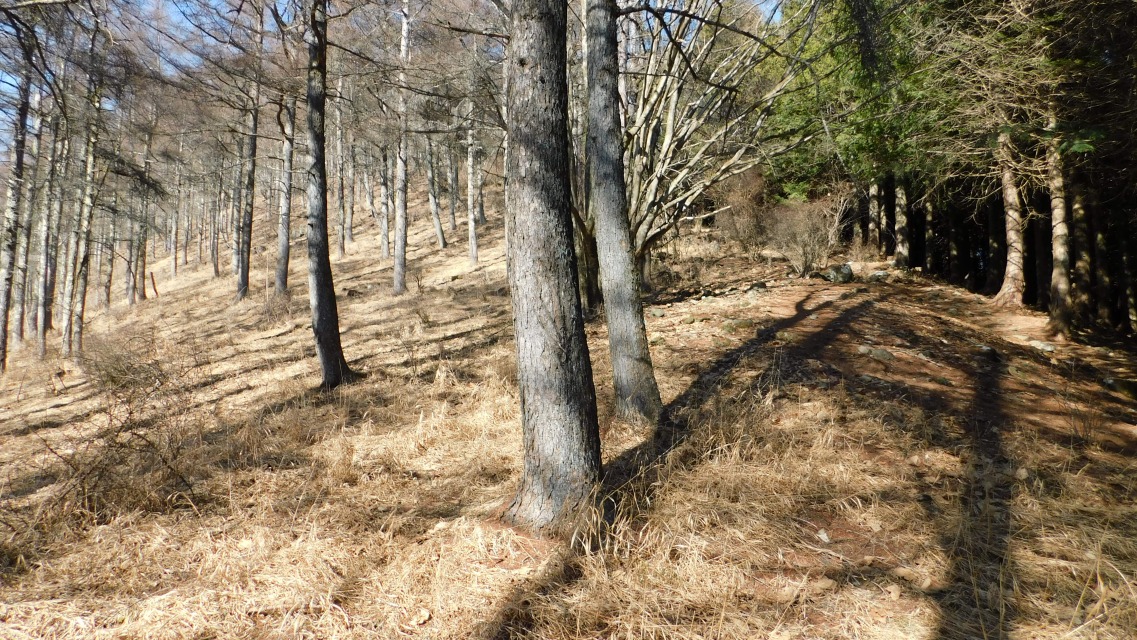 �k 72�^96 �l�@�E��Ζʂ̎��ђn�т����ꂢ���B����U��Ԃ��āB