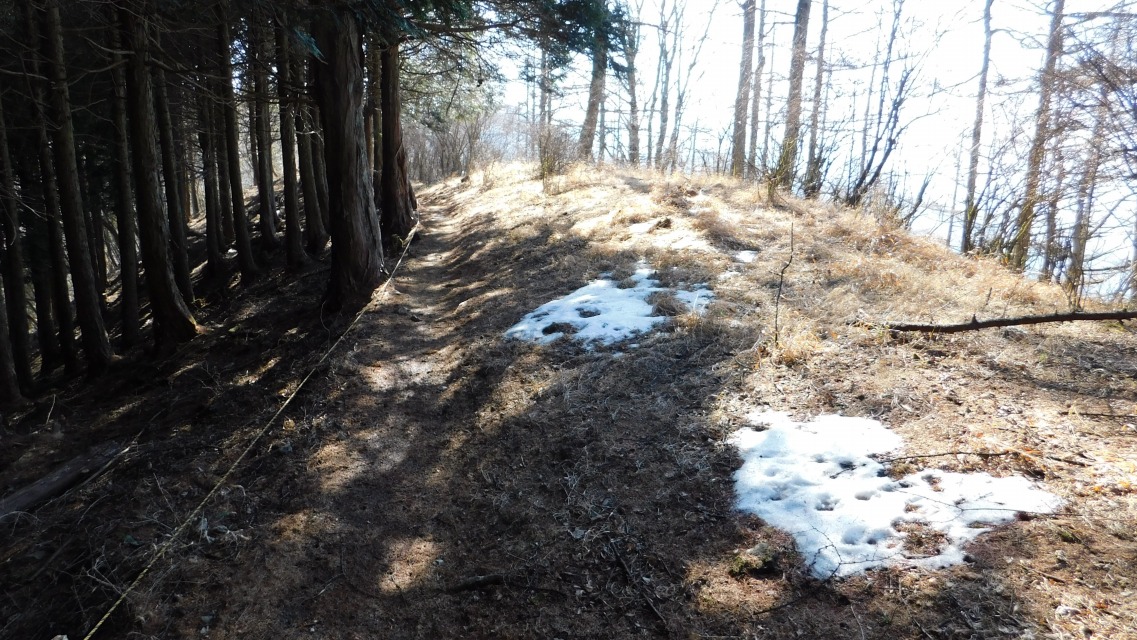 �k 73�^96 �l�@�c���ʉ�