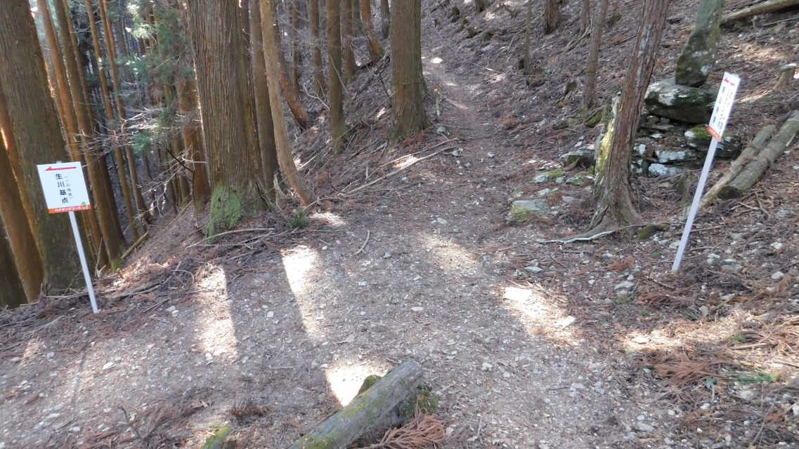 �k 82�^96 �l�@����_�B���́u�����_�i��̒����j�v�B���i���āu���R���Ձv�ցB