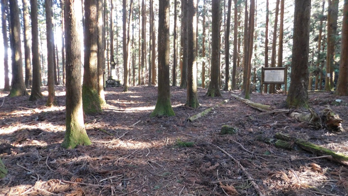 �k 85�^96 �l�@���R���Ղɓ����B�ē�������B�u����v�Q�ƁB