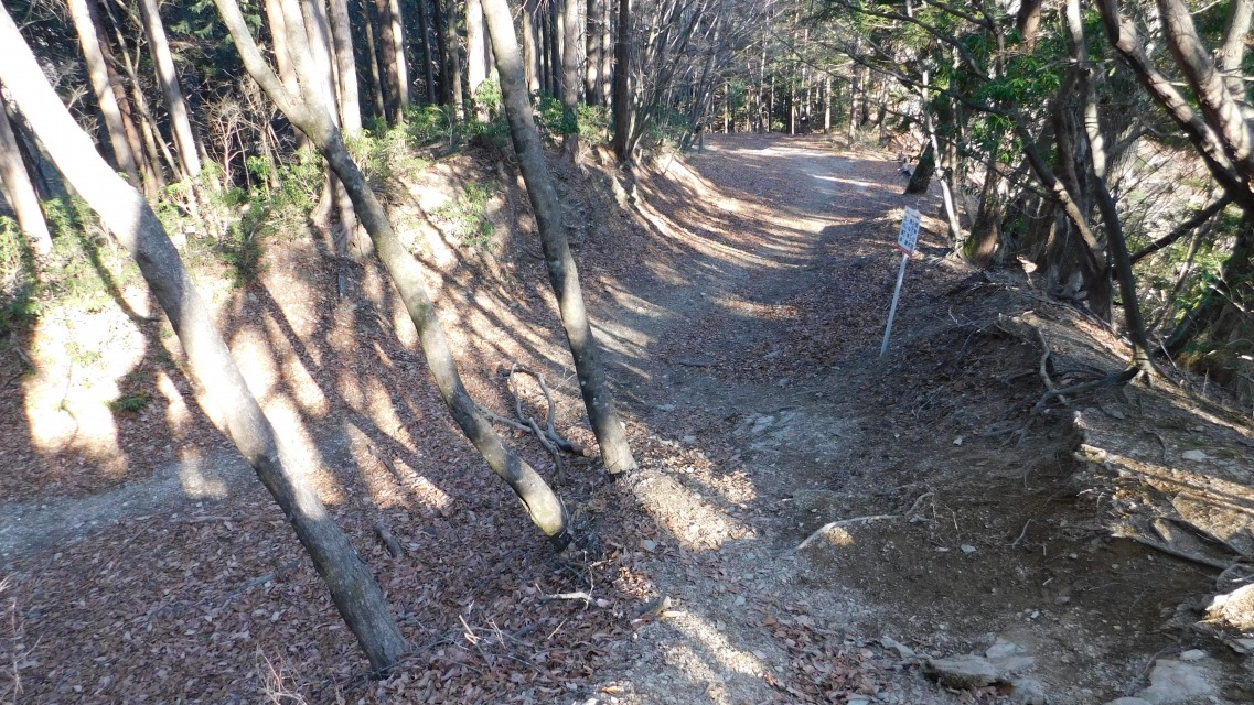 �k 87�^96 �l�@����납�炭�����Ă���ѓ��ƍ�������