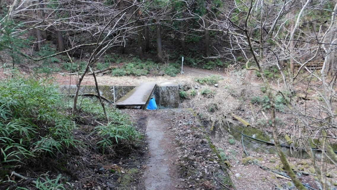 �k 89�^96 �l�@�O���A���H�ŕ������o�R���ƍ�������