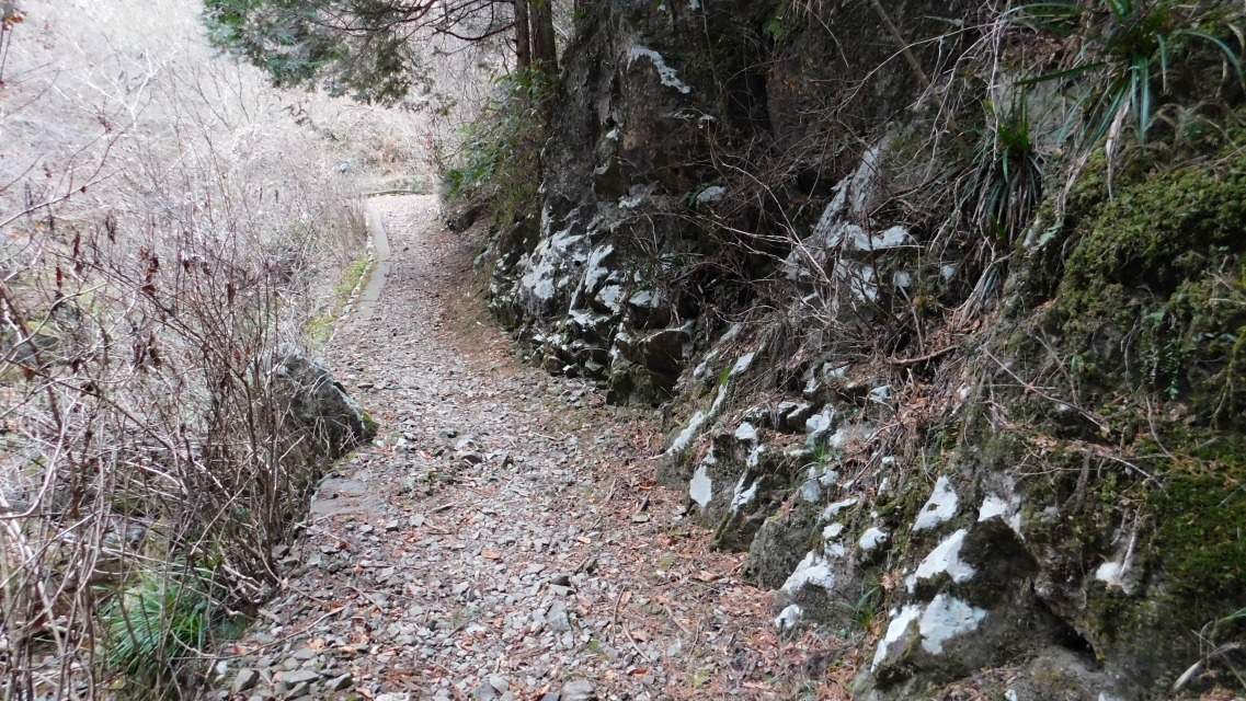 �m 10�^83 �n�@�o�R���̗l�q