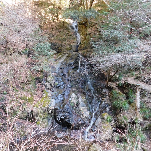 �m 14�^83 �n�@��̗l�q