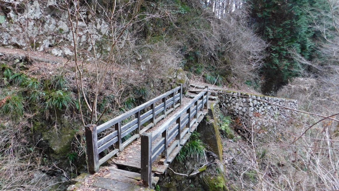 �m 15�^83 �n�@�s���������ǂ�A�O���̓o�R�������֐i��