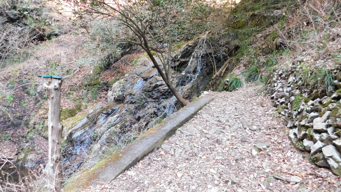 �m 16�^83 �n�@���ɑ�����Ȃ������