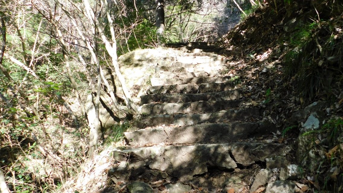 �m 17�^83 �n�@�K�i�݂����̂ڂ�