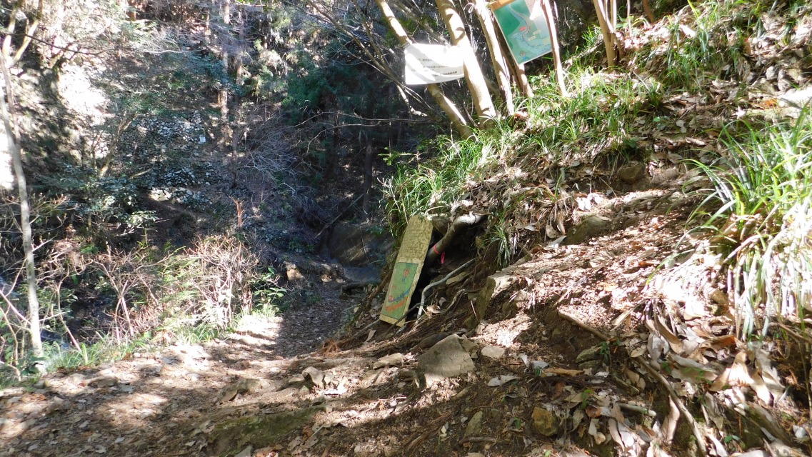 �m 18�^83 �n�@�o�R���͉E�B�O���A���e�f�b�L�ցB���F���u����̑�v�ē�������B�u����v�Q�ƁB