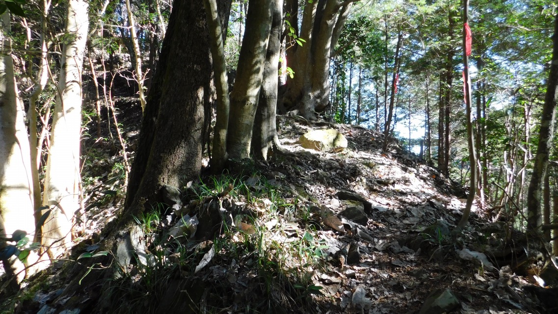 �m 22�^83 �n�@�o�R����i��