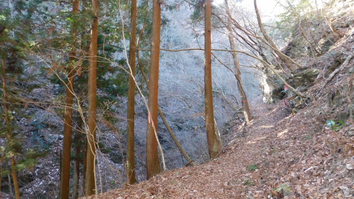 �m 24�^83 �n�@�o�R���̗l�q