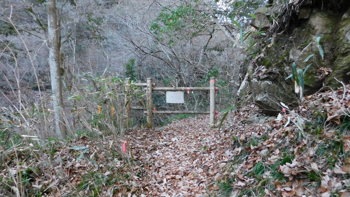 �m 25�^83 �n�@�O���̔������́u���m�点�v