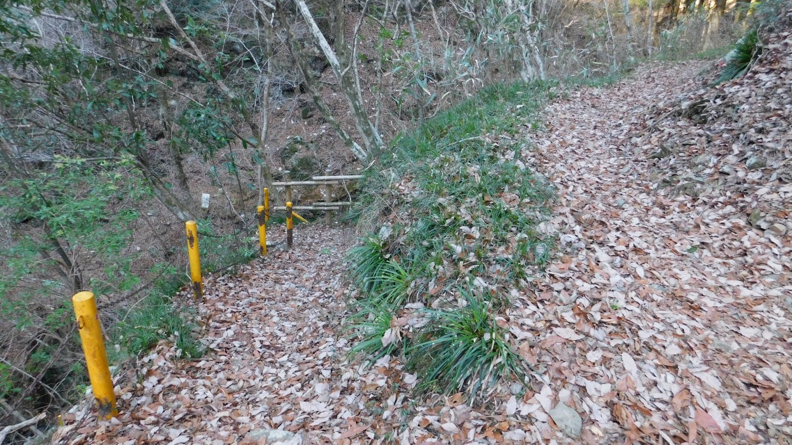 �m 27�^83 �n�@���F���Y�i�����j�̍����̓����������Ă���Ǝv����B�E�̓���i�ށB