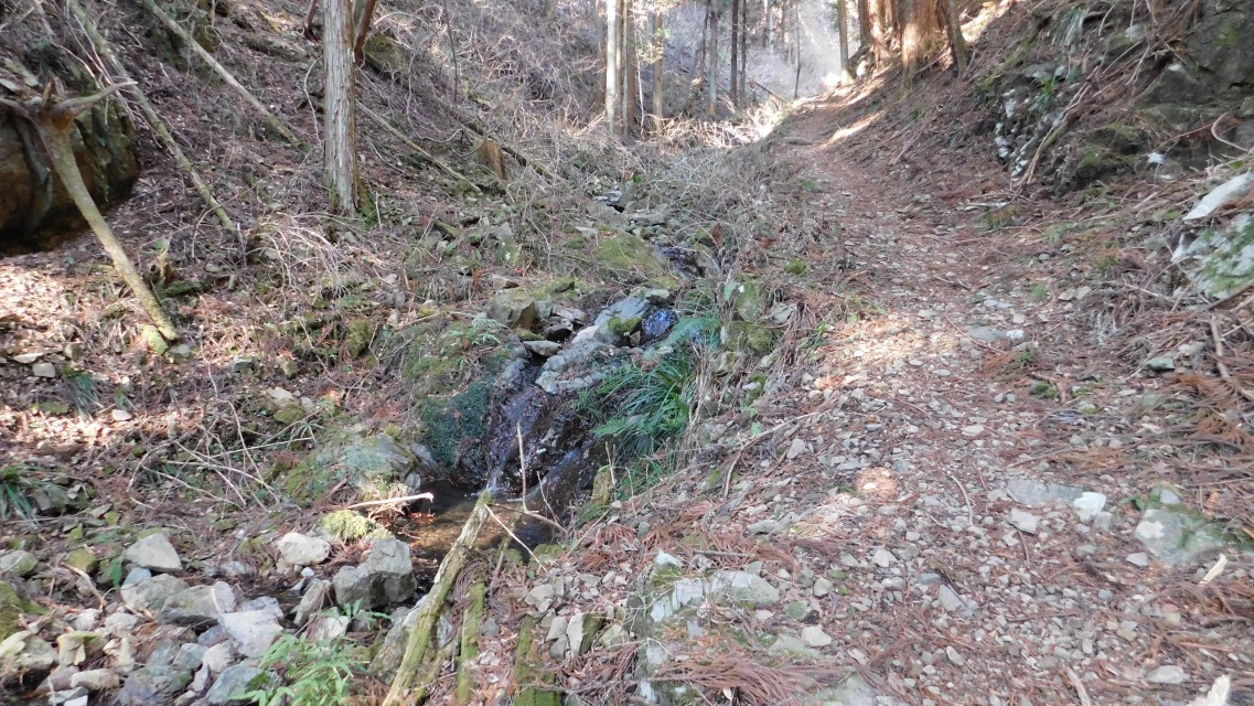 �m 36�^83 �n�@�o�R���̗l�q