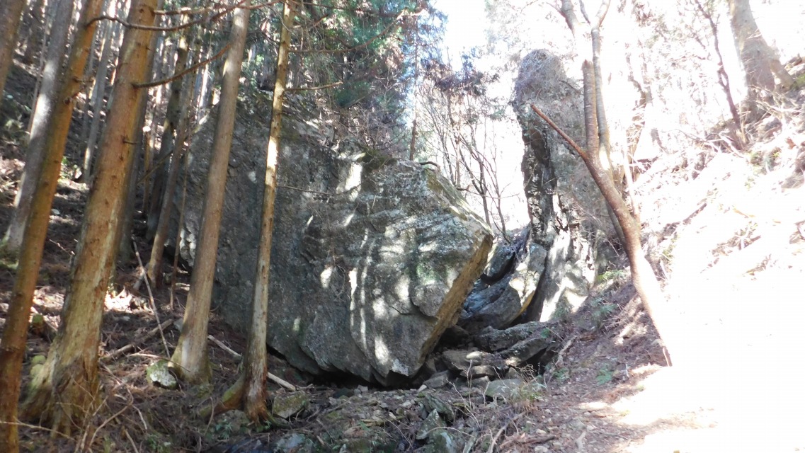 �m 37�^83 �n�@�����ʉ�